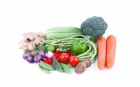 Importance of Micronutrients