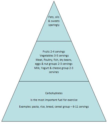 food pyramid